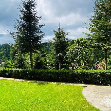 Pensiunea DEDU Buşteni Exterior foto