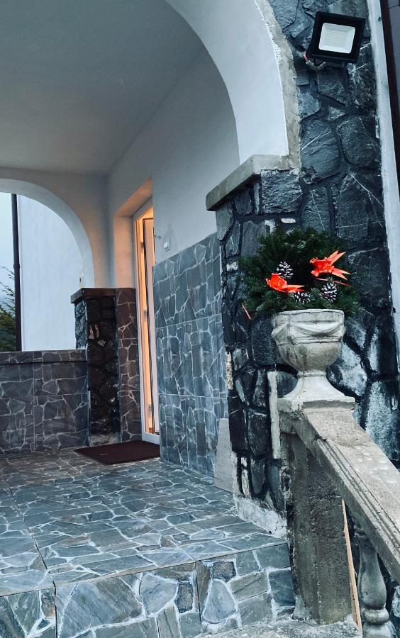 Pensiunea DEDU Buşteni Exterior foto