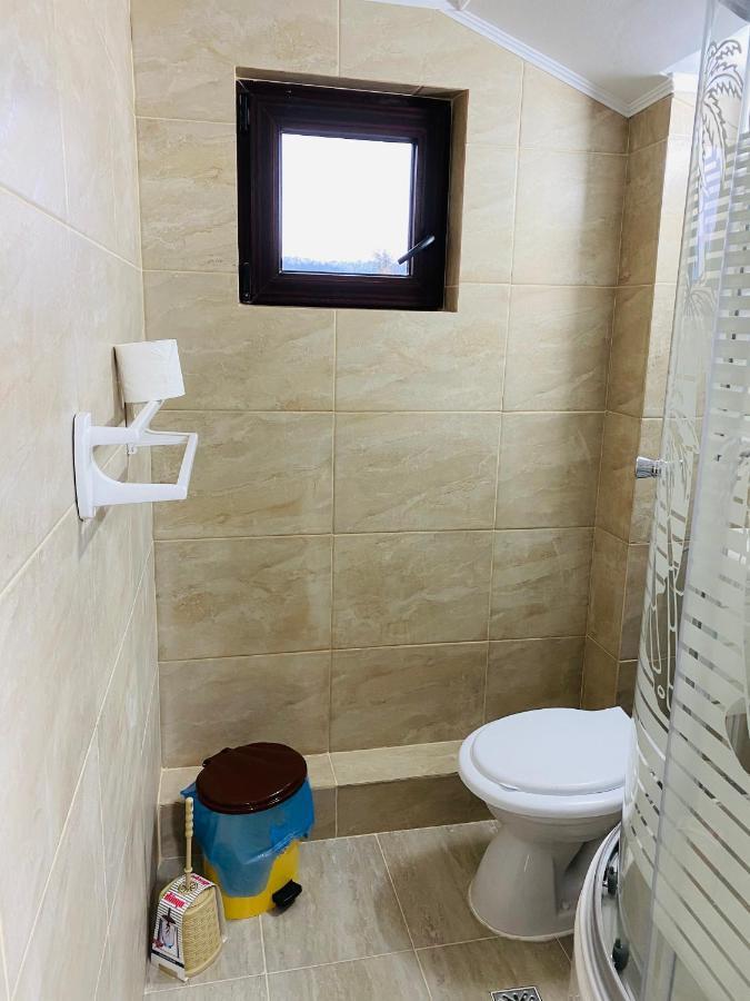 Pensiunea DEDU Buşteni Exterior foto