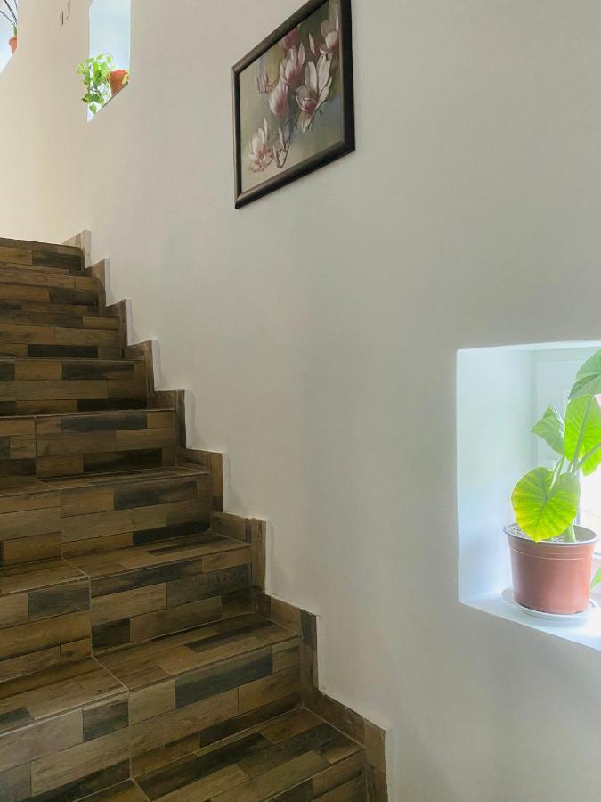 Pensiunea DEDU Buşteni Exterior foto