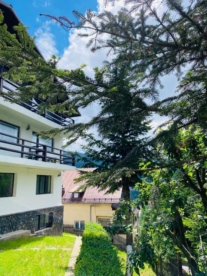 Pensiunea DEDU Buşteni Exterior foto