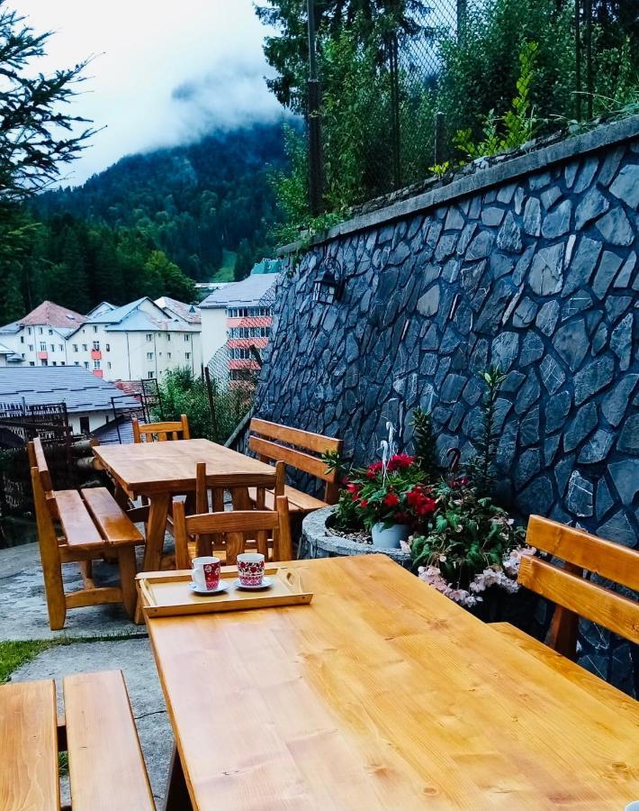 Pensiunea DEDU Buşteni Exterior foto