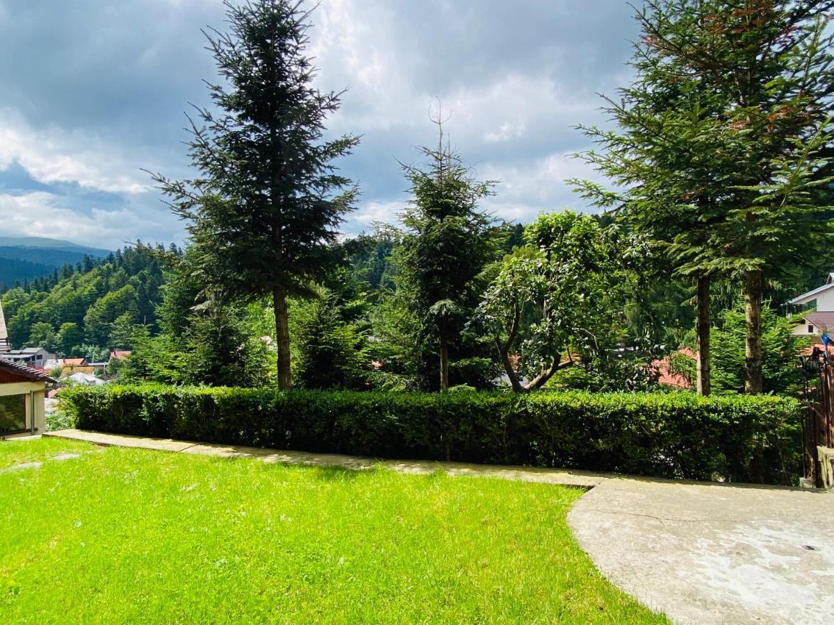 Pensiunea DEDU Buşteni Exterior foto
