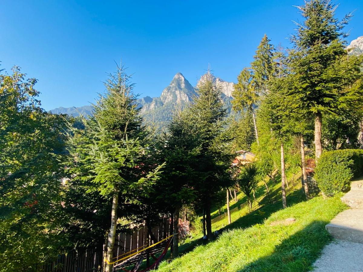Pensiunea DEDU Buşteni Exterior foto