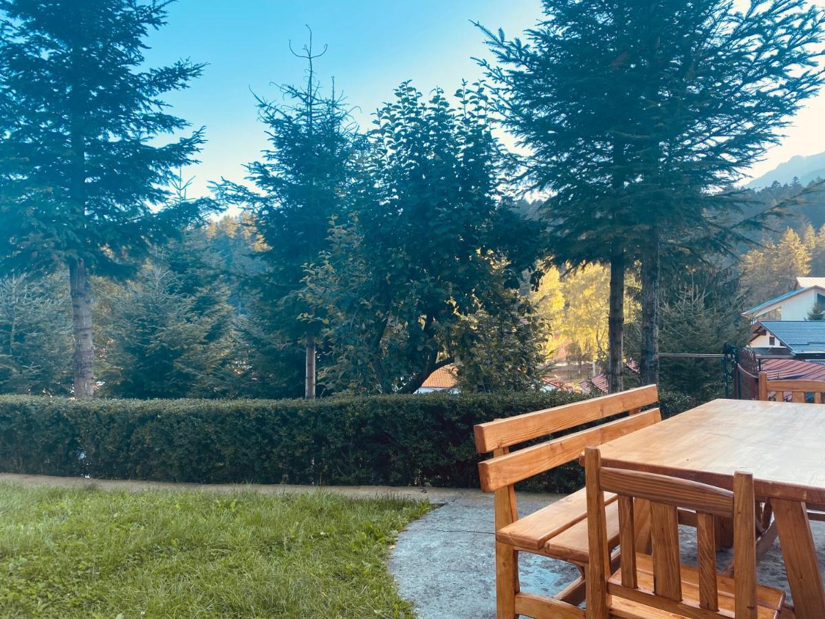 Pensiunea DEDU Buşteni Exterior foto
