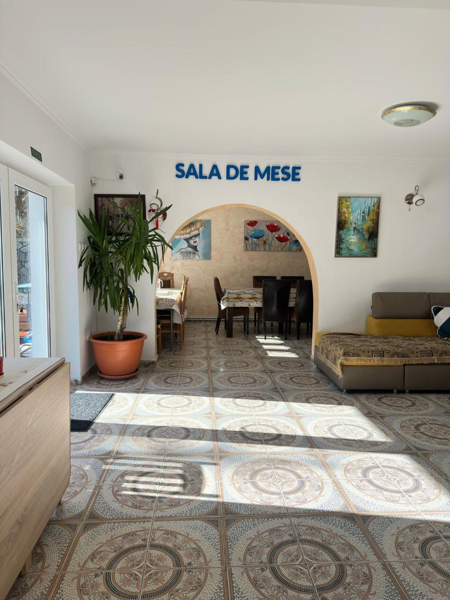 Pensiunea DEDU Buşteni Exterior foto