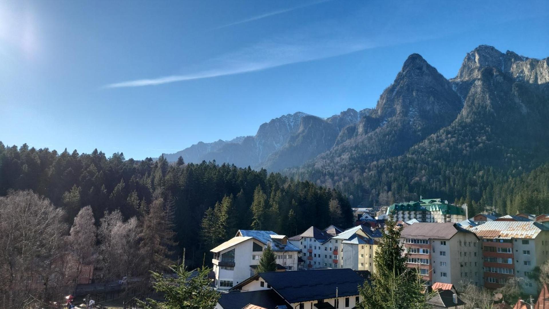 Pensiunea DEDU Buşteni Exterior foto