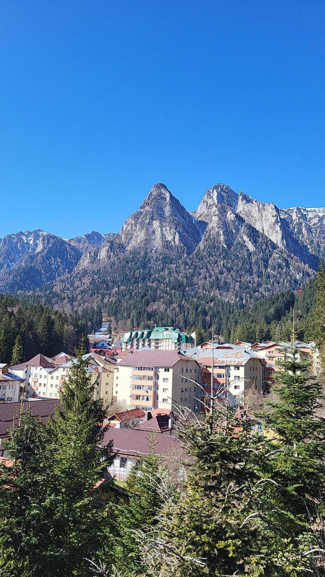 Pensiunea DEDU Buşteni Exterior foto